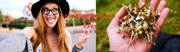прущая мука Богородицк