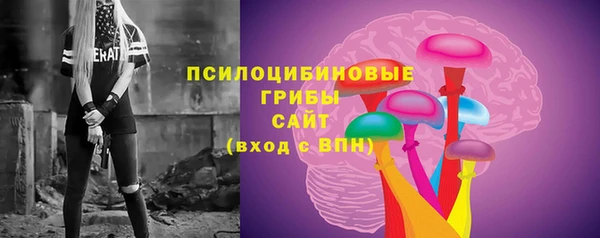 ALPHA PVP Богородск
