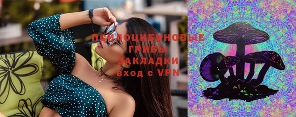 прущая мука Богородицк