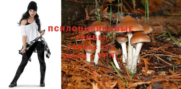 мефедрон мука Богданович