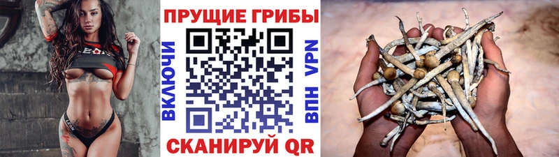 маркетплейс официальный сайт  Красавино  Галлюциногенные грибы мухоморы 